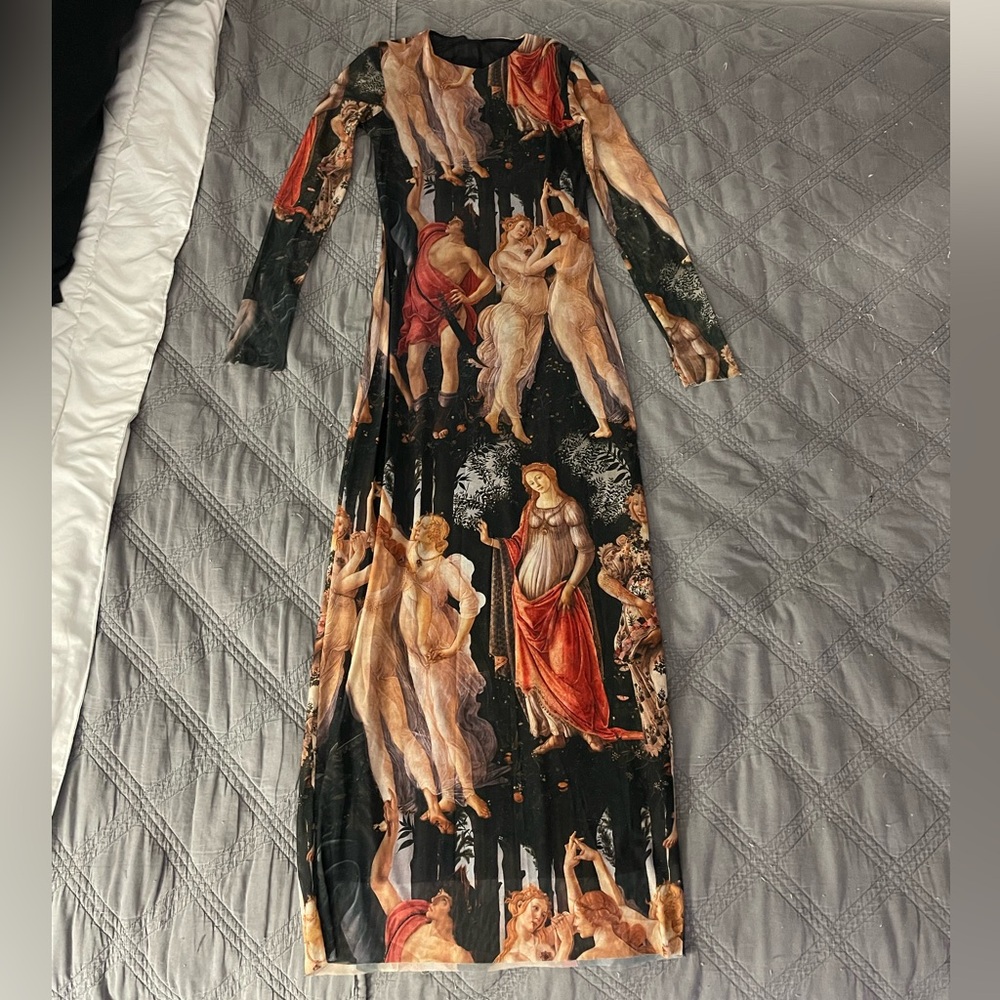 Zara dress